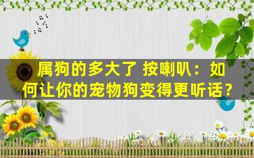 属狗的多大了 按喇叭：如何让你的宠物狗变得更听话？